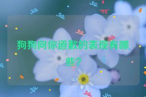 狗狗向你道歉的表现有哪些？