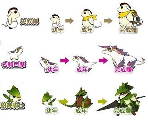 艾尔之光