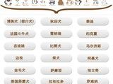 益阳彩虹柴庄 正宗日系小柴犬出售中 签合同健康