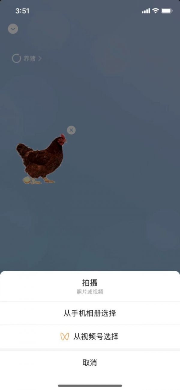 微信实现朋友圈养猪养鸭！微信农场背景怎么弄？微信状态怎么养宠物
