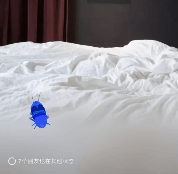 微信怎么养宠物教程永久（微信小宠物怎么弄的及如何养宠物）