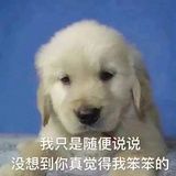 豆友179237387