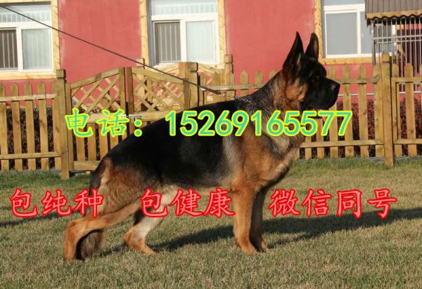 河南周口场具置/价格合理