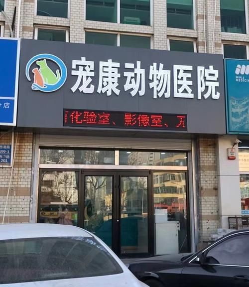 宠康动物医院电话地址（宠康动物医院电话地址查询）