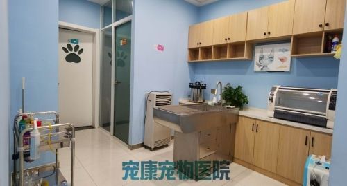 宠康动物医院电话地址（宠康动物医院电话地址查询）