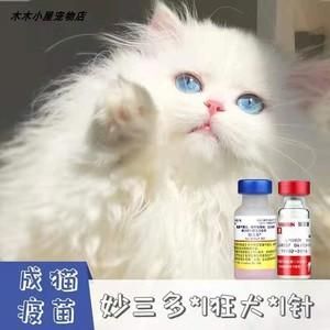 宠物猫疫苗要多少钱打一针（宠物猫疫苗大概多少钱）