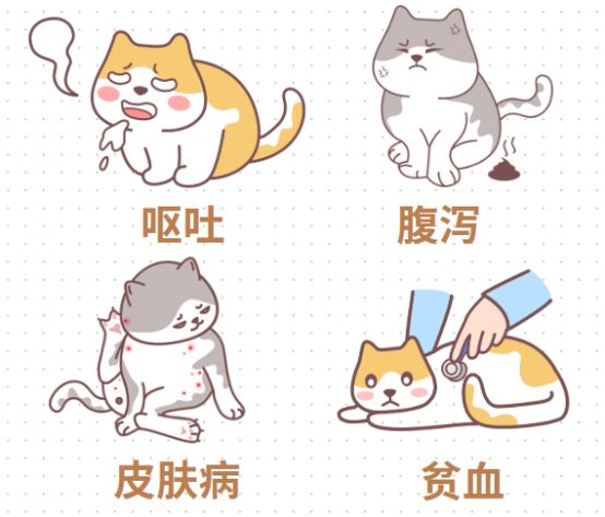 猫驱虫