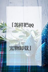 怎样把QQ宠物卸载