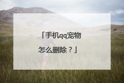 手机qq宠物怎么删除？