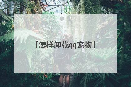 怎样卸载qq宠物
