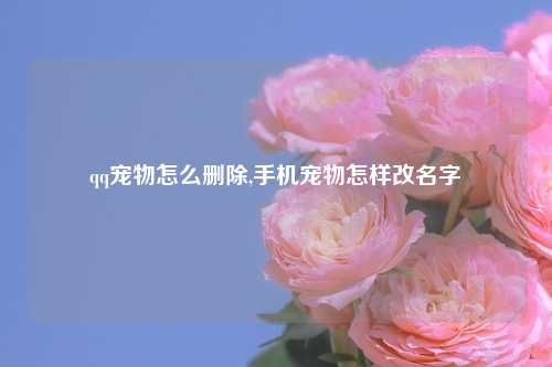 qq宠物怎么删除,手机宠物怎样改名字