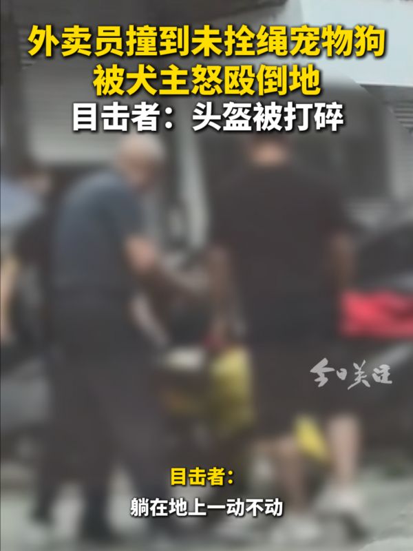 外卖员撞到未拴绳宠物狗被犬主怒殴倒地,目击者:头盔被打碎