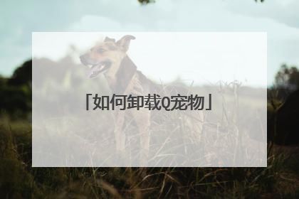 如何卸载Q宠物