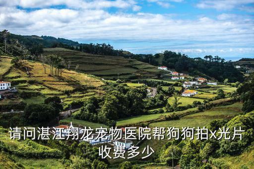 请问湛江翔龙宠物医院帮狗狗拍x光片收费多少