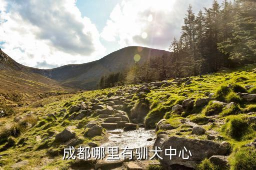 成都哪里有驯犬中心