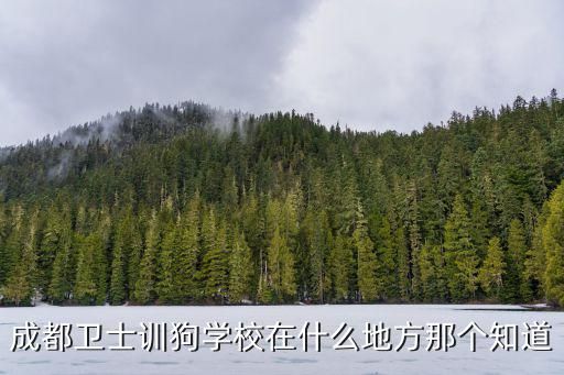 成都卫士训狗学校在什么地方那个知道