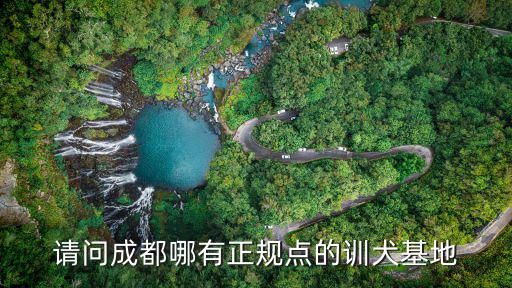 请问成都哪有正规点的训犬基地