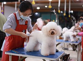 授课现场