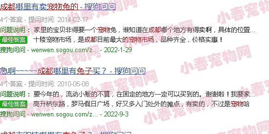 成都卖兔子的宠物市场