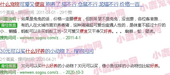 什么小宠物便宜好养