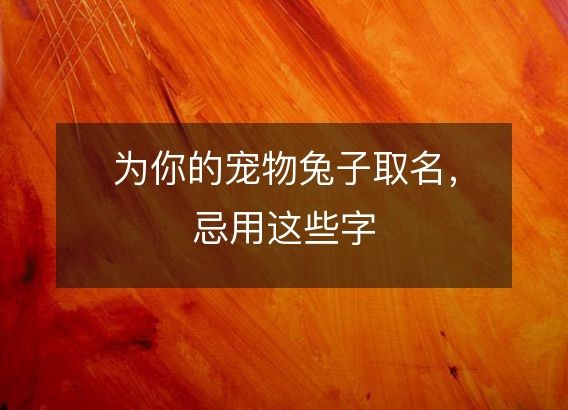 为你的宠物兔子取名，忌用这些字
