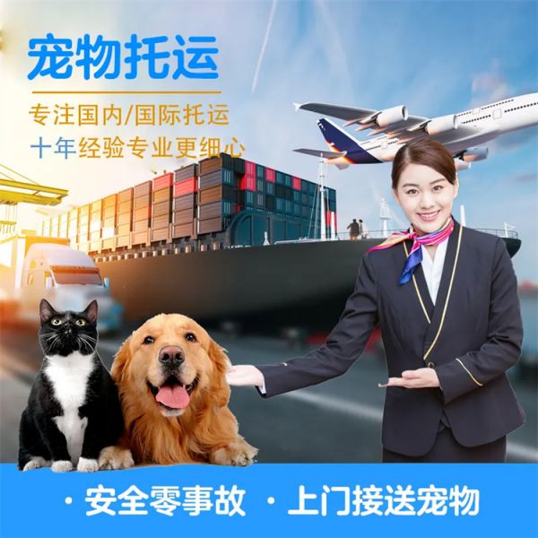 上饶靠谱的托运-汽车带托运