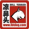 北京凉鼻头犬舍宠物寄养