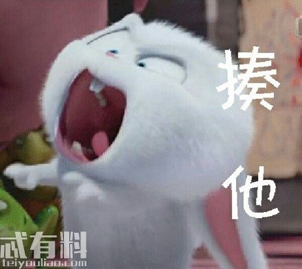 爱宠大机密兔子表情包大全 小白为什么憎恨人类结局是什么