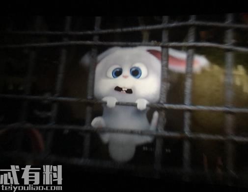 爱宠大机密兔子表情包大全 小白为什么憎恨人类结局是什么