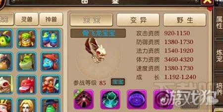 我叫MT3骨飞龙宠物技能属性图鉴攻略