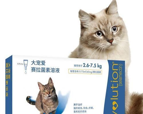 如何给宠物猫进行体外驱虫（掌握正确方法）