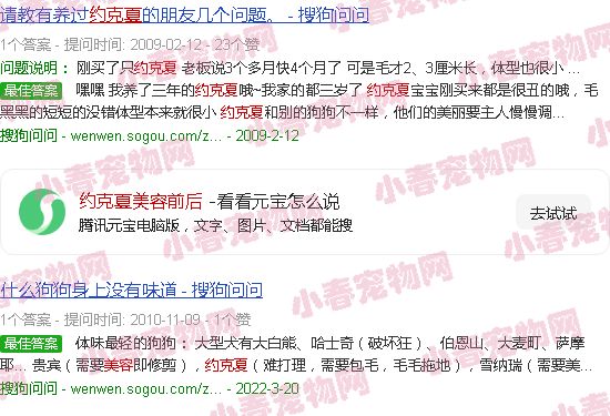 约克夏美容前后