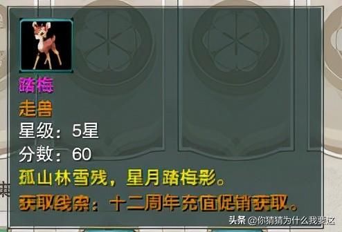 剑网三宠物大全及获取方式(剑网三宠物在哪里打开)？