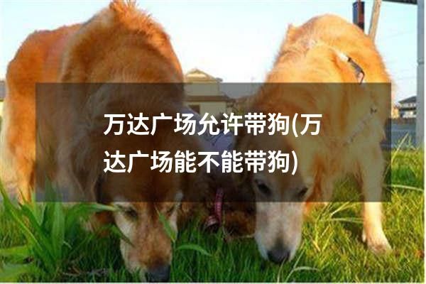 万达广场允许带狗(万达广场能不能带狗)