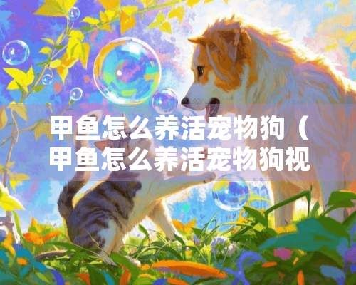 甲鱼怎么养活宠物狗（甲鱼怎么养活宠物狗视频）