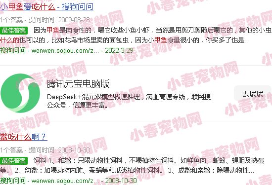 甲鱼吃什么的东西