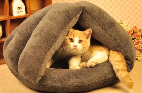 怎么给猫咪做窝