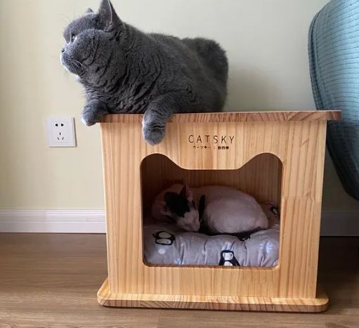 怎么做小猫窝