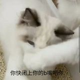 善良的猎妈人