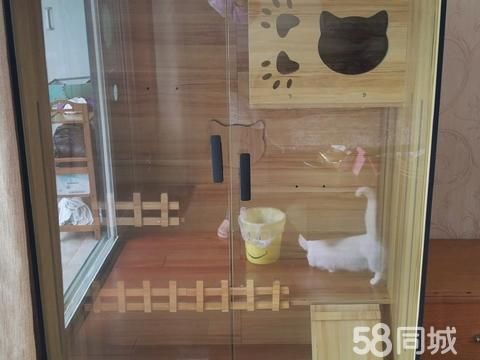 芜湖宠物用品/食品·二手市场