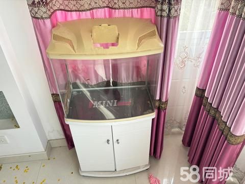 芜湖宠物用品/食品·二手市场