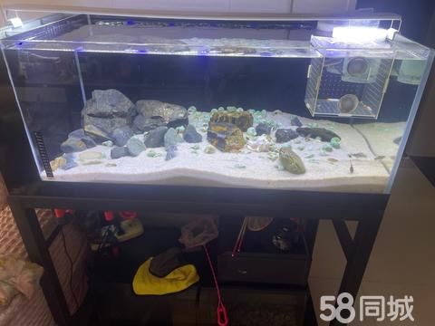芜湖宠物用品/食品·二手市场