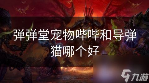 弹弹堂宠物哔哔和导弹猫哪个好