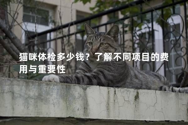 猫咪体检多少钱？了解不同项目的费用与重要性