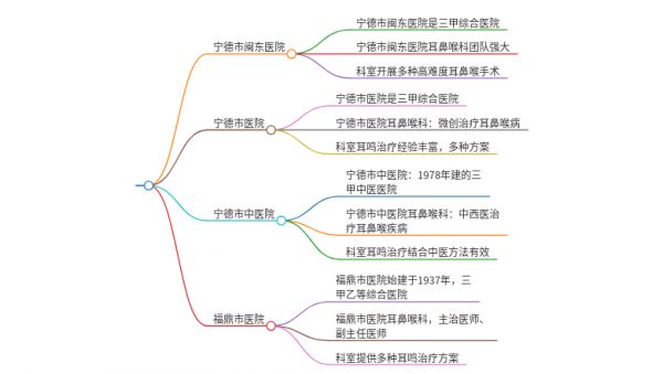 2025年福建宁德治疗耳鸣伴耳鸣声消失后复现的医院有哪些
