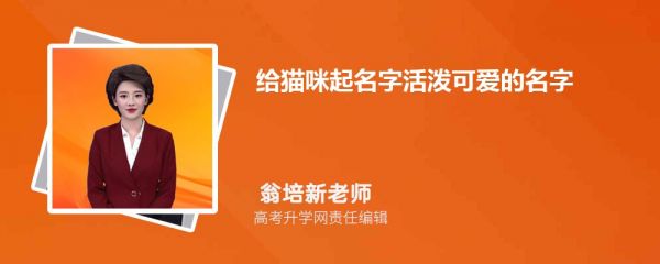 给猫咪起名字活泼可爱的名字大全