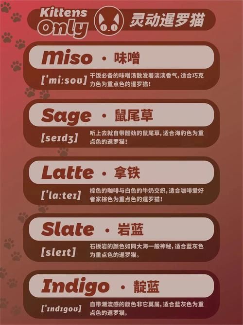 洋气点的宠物名字英文名潮流先锋 宠物好听的独特名字英文