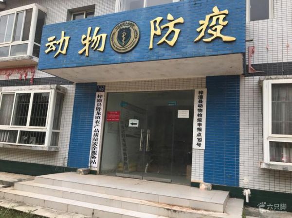 动物防疫站几点关门（动物防疫站周六日上班吗）