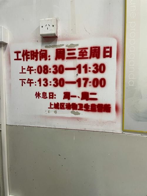动物防疫站几点关门（动物防疫站周六日上班吗）