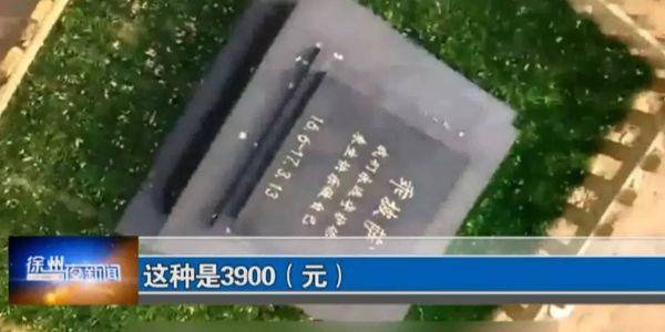 宠物火化北京_北京 宠物火化 慈_北京宠物火化服务怎么收费